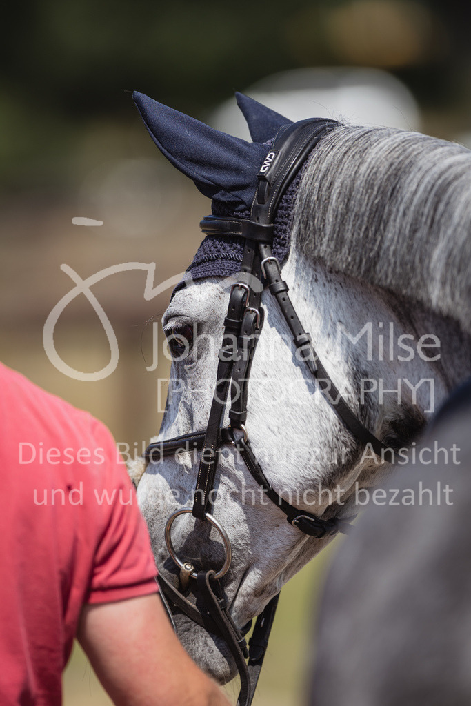 230624_PfSpTa_L-Spr-383 | Deine schönsten Turniermomente als professionelle Fotos! Entdecke hochwertige Pferdesport-Fotografie im Online-Shop. Jetzt Fotos finden & bestellen!
