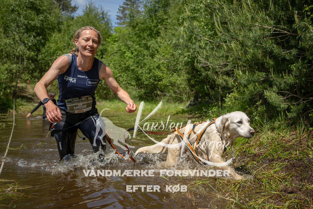 1303DKK993874 | kk-dogfotos