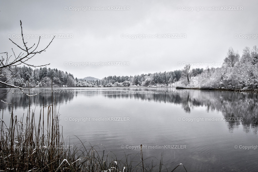 _07A7006 | medienkrizzler - Realisiert mit Pictrs.com