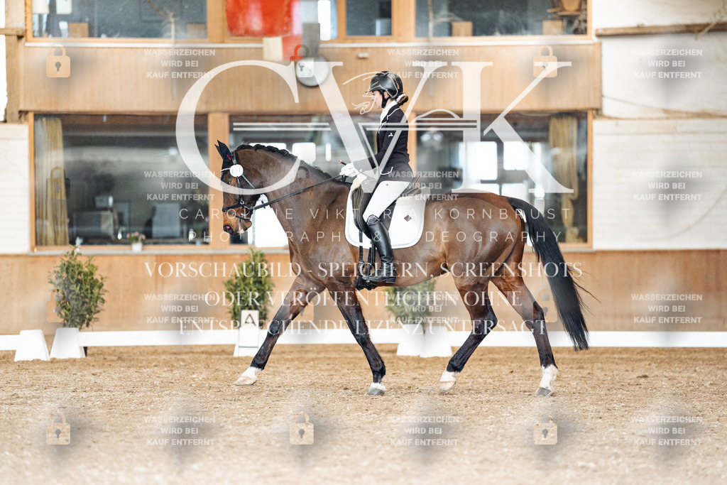 CK901917 | Turnierfotografie Pferdefotografie Trier Rheinland-Pfalz Pferdesport Reitsport Tierfotografie Sportfotografie Pferdevideo Pferdevideografie Equestrianvideography equestrianphotography  - Realisiert mit Pictrs.com