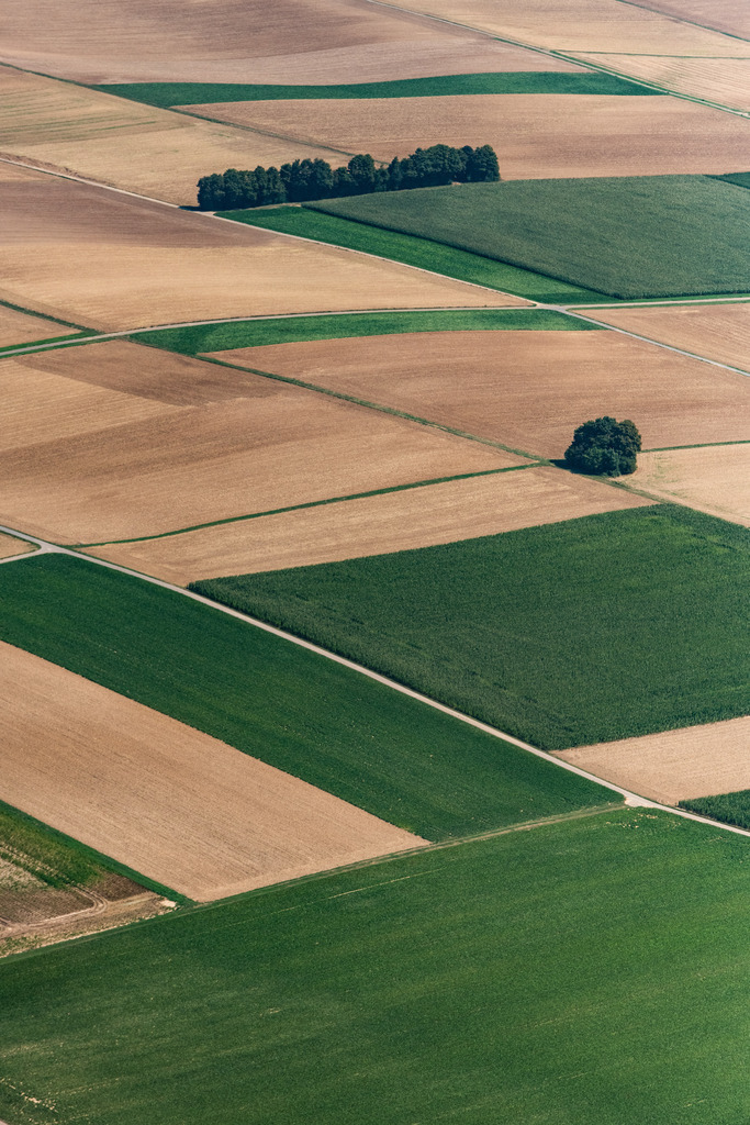 dr__0015701.jpg | SCHWAIGERN 03.08.2018 Grasflächen- Strukturen einer Feld- und Wiesen- Landschaft in Schwaigern im Bundesland Baden-Württemberg, Deutschland. // Structures of a field landscape in Schwaigern in the state Baden-Wurttemberg, Germany. Foto: Daniel Reiter