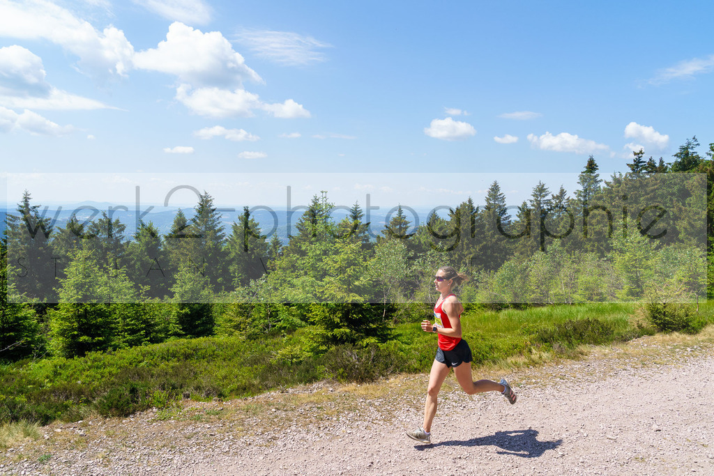 Rennsteig-Staffellauf 2023 | Rennsteig-Staffellauf - Hörschel bis Blankenstein - 17. Juni 2023