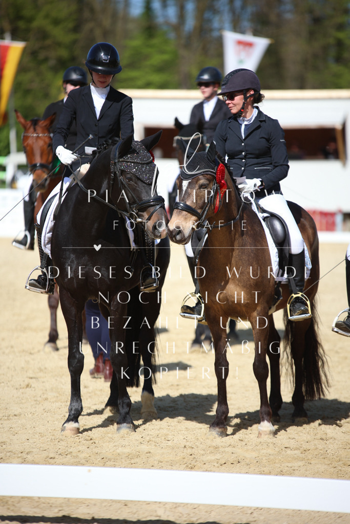 IMGT2382 | pl-fotografie