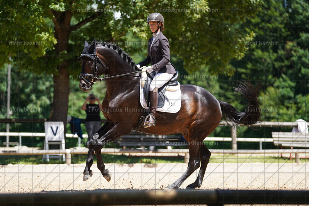 20240705-FAH03685 | Turnierbilder von Grafing, Reitsportbilder, Turnierfotos, Turnierfotografen Bayern, Pferdefotograf, Fotoagentur Herrmann