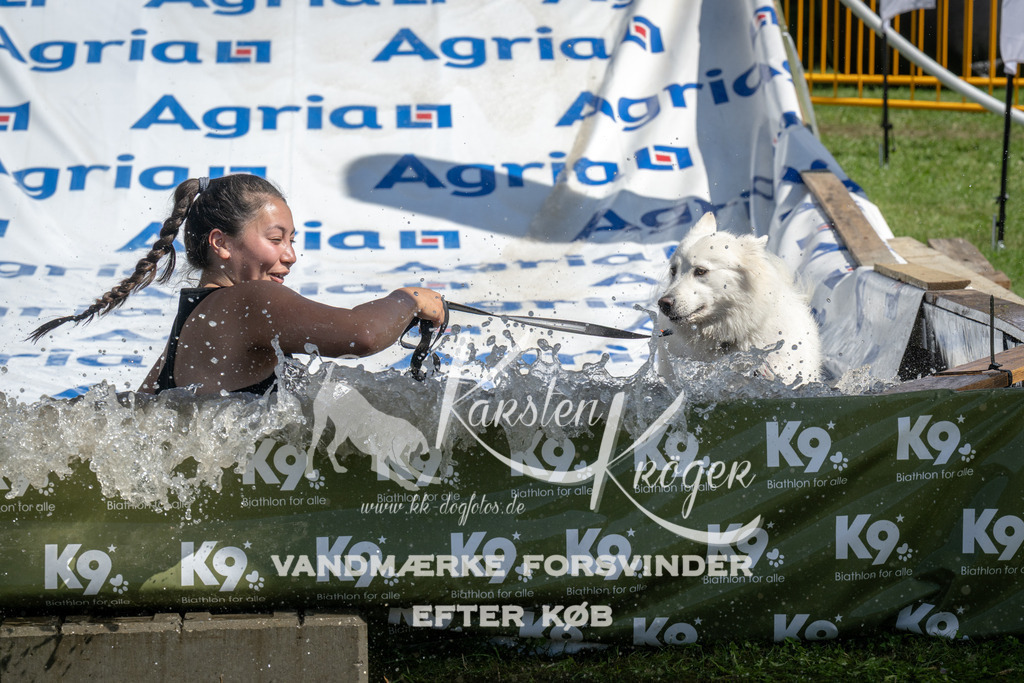 1213_ZZ95439 | kk-dogfotos