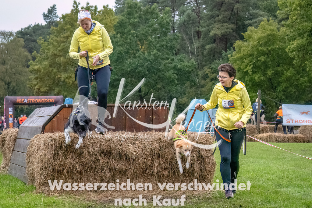 1208--5 | kk-dogfotos