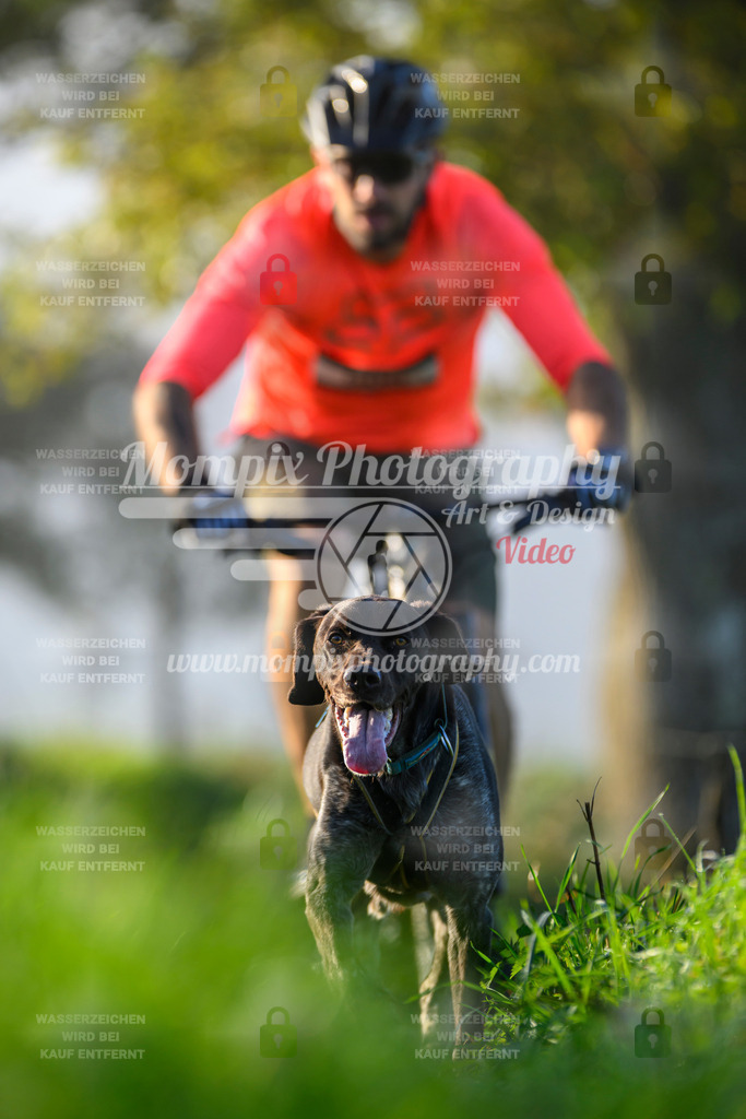 MompixPhotography_20TSB_E3_Bike-195 | PayLife