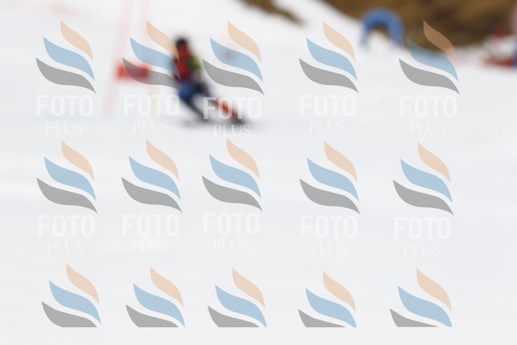 _U3G6737 | holidayphoto