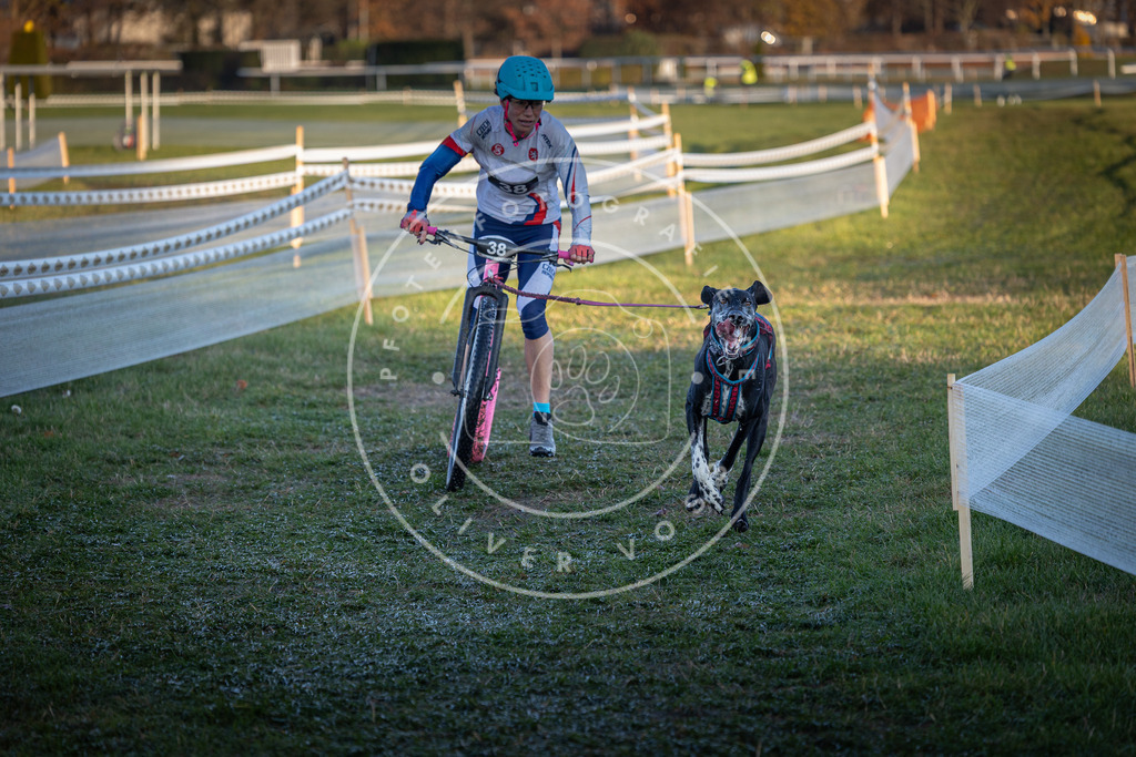 CaniXpix_0L8A2313 | Hundefotografie, Tierfotograf, Pfotenfotografie, Fotoshooting Hund, Hunde Portrait, Hundesport, Hundeportraits, Heideshooting, Hunde, Sportfotograf, Hundefotograf, Turnierhundsport, THS,  - Realisiert mit Pictrs.com