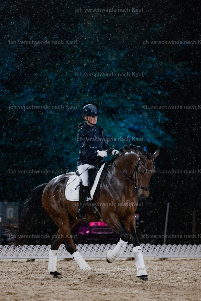 FHClassics-95 | working equitationturnier fotograf videograf stoibphotography marixx film working equitation deutschland reitsport turnierfotografie eventfotografie equestrian events