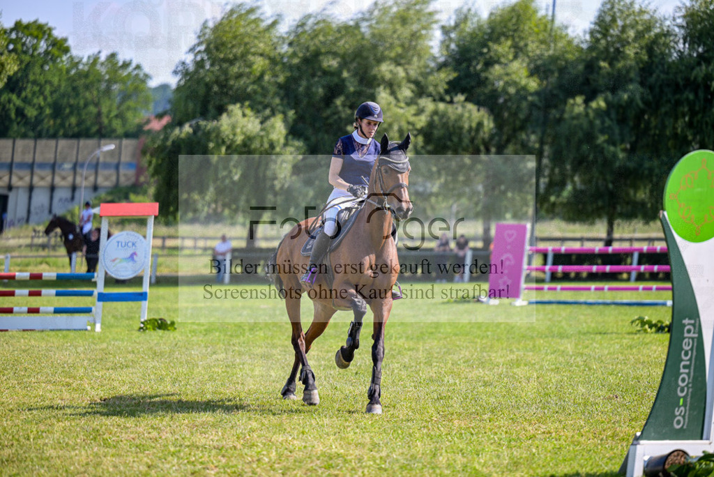 Reitturnier Voxtrup | Entdecke hochwertige Reitturnierfotos von Foto Oger. Professionell, emotional und authentisch – jetzt Lieblingsmomente im Shop bestellen. - Realisiert mit Pictrs.com