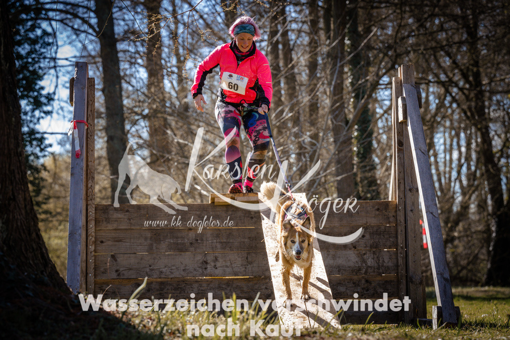 0952_ZZ96782 | kk-dogfotos