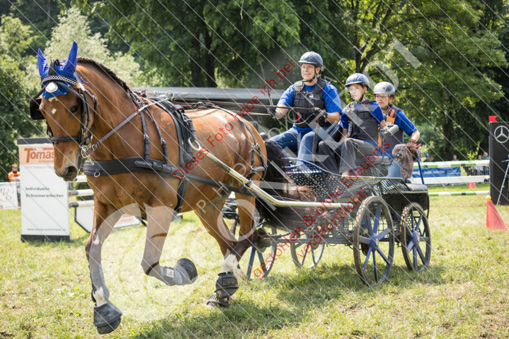 IMG_8637 | Sport-, Event- und Tierfotos in Profiqualität. Einfach auswählen, bestellen und herunterladen. Dein Moment – perfekt festgehalten.