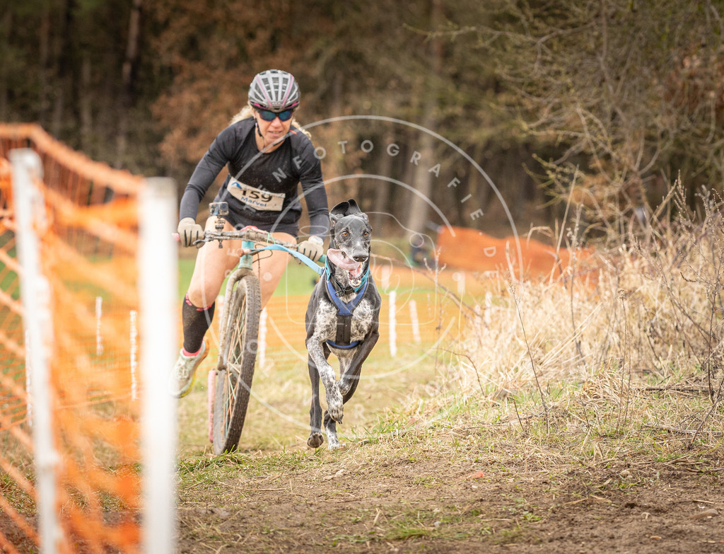 DV3A1732 | Hundefotografie, Tierfotograf, Pfotenfotografie, Fotoshooting Hund, Hunde Portrait, Hundesport, Hundeportraits, Heideshooting, Hunde, Sportfotograf, Hundefotograf, Turnierhundsport, THS,  - Realisiert mit Pictrs.com