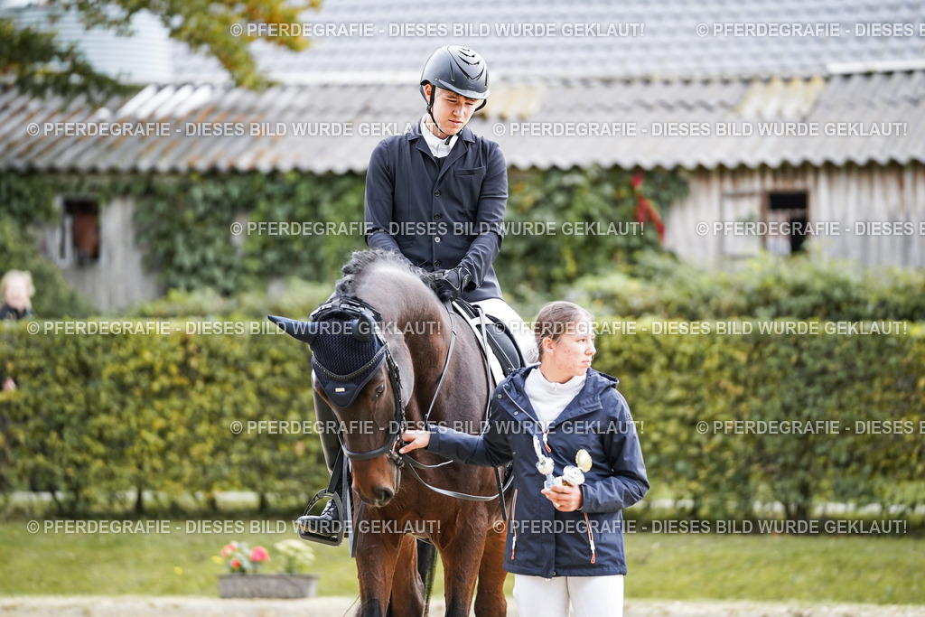 DSC05013 | Pferdegrafie