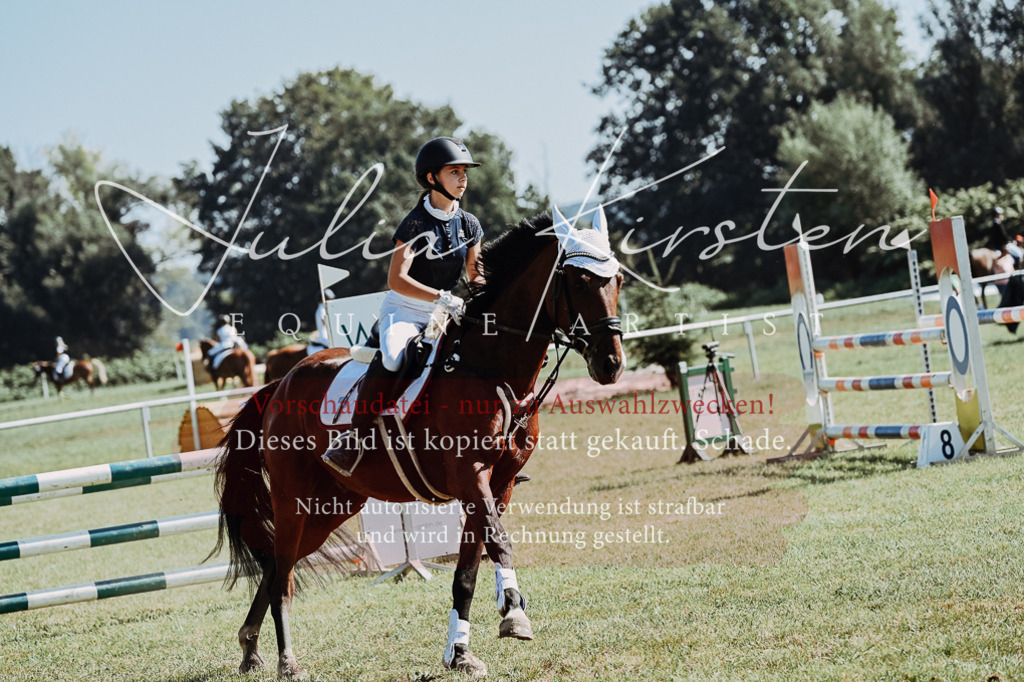 DSC_5845 | Pferde- und Turnierfotografie in Westsachsen. Pferdeportraits, Auftragszeichnungen und intuitive Kunst.