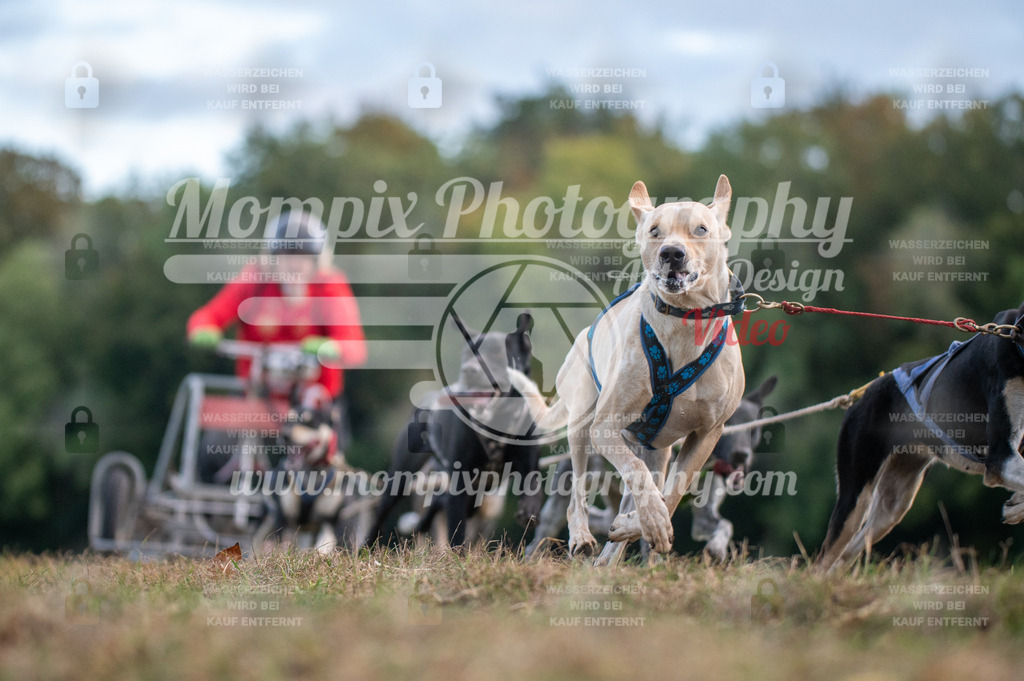 CDLBDB_15_10_2023_Dimanche-37 | PayLife