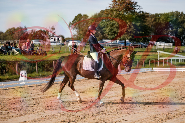 2026_10_03_Siefer-Hof_114721_Z63_25824838 | Professionelle Reitsport-, Turnier- und Eventfotografie von Robert Broda. Galerien mit ausgewählten und bearbeiteten Bildern direkt online ansehen und bestellen.