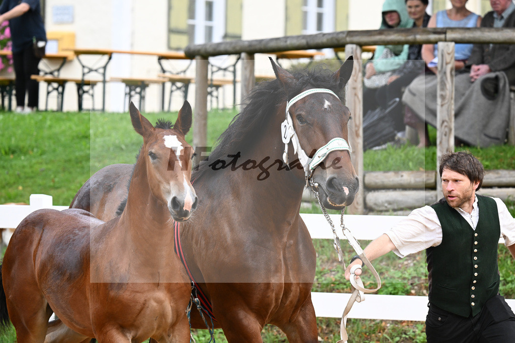 Kat-Nr. 2 Rivaldo x Riegsee_Hoeck_27140036 | hf-fotografie - Realisiert mit Pictrs.com