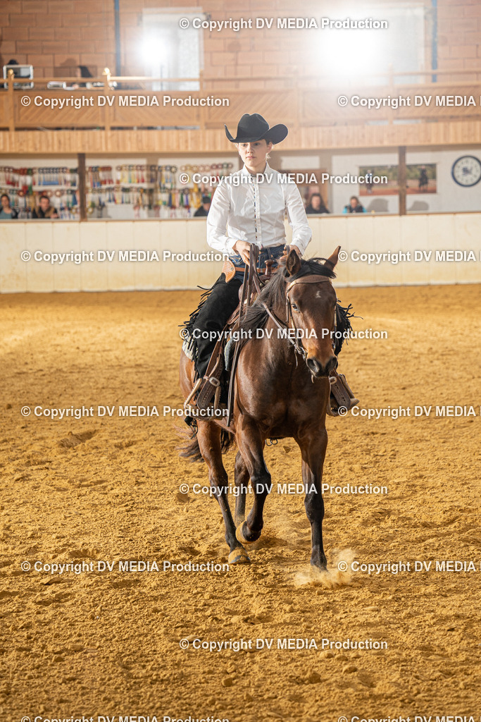 MIT00730 | dv-media-shop - Realisiert mit Pictrs.com