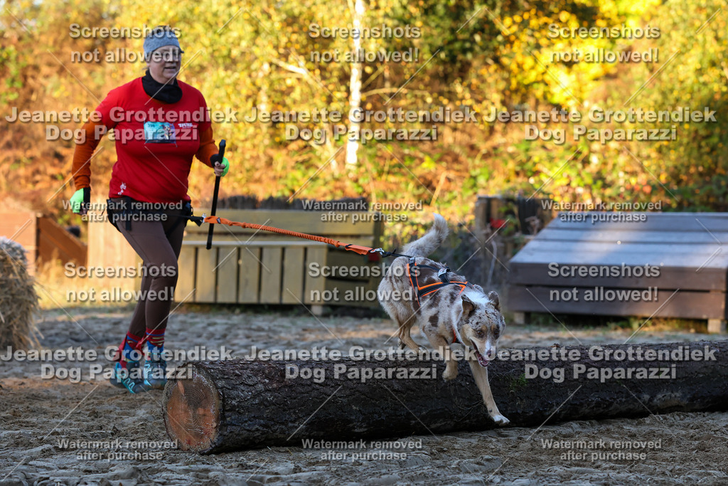 Dog Paparazzi - Strongdog 10-25-562 | Dog Paparazzi Jeanette Grottendiek Fotografie & Videografie - Realisiert mit Pictrs.com