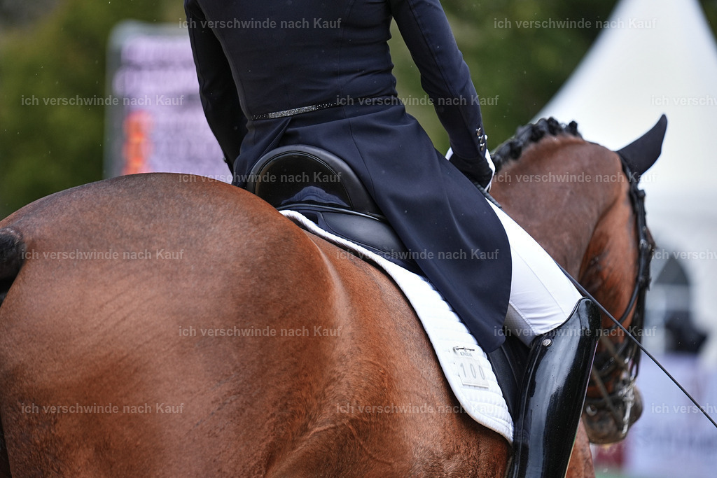 8_1-100-Klasse S_  -Marixx-4205 | working equitationturnier fotograf videograf stoibphotography marixx film working equitation deutschland reitsport turnierfotografie eventfotografie equestrian events