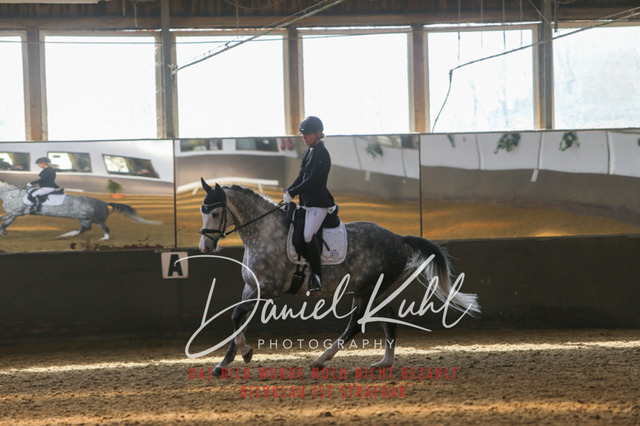 IMG_2520 | Turniersportfotografie; Pferdefotografie; Dressurfotografie
