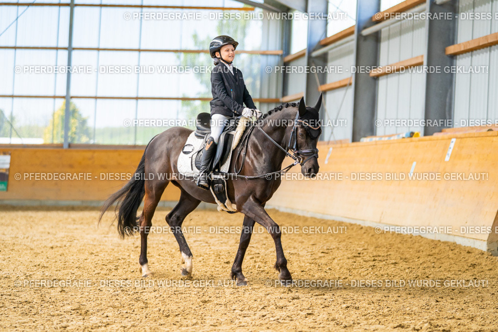 DSC08936 | Pferdegrafie