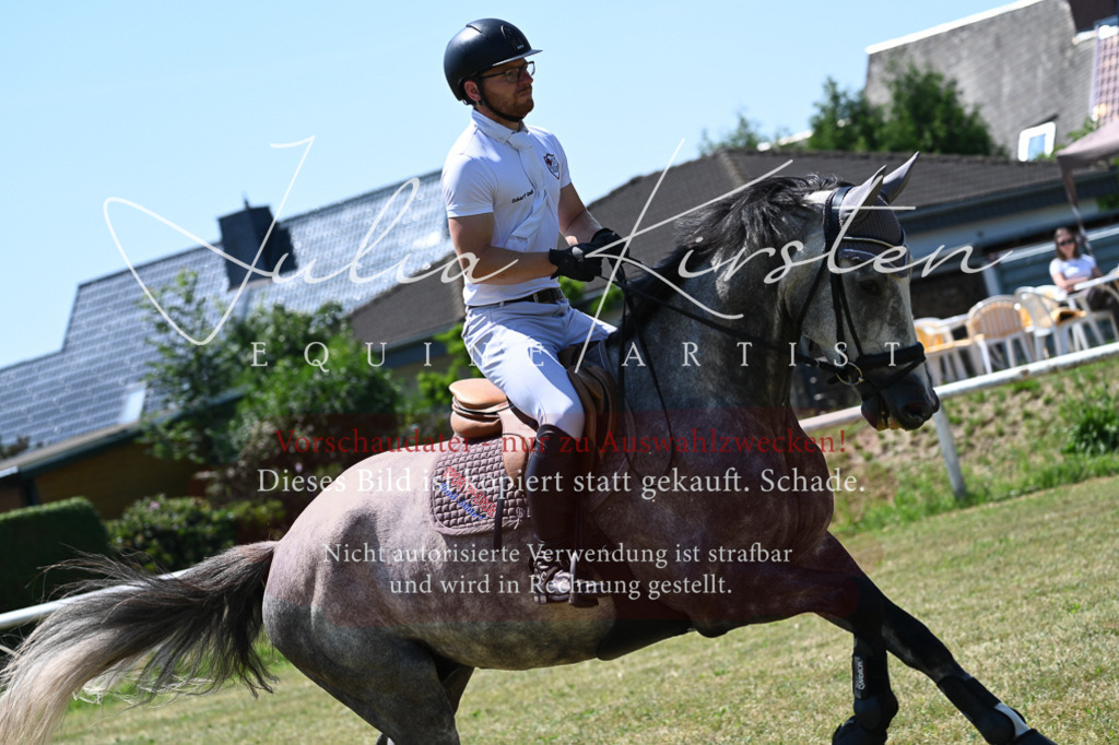 DSC_0550 | Pferde- und Turnierfotografie in Westsachsen. Pferdeportraits, Auftragszeichnungen und intuitive Kunst.