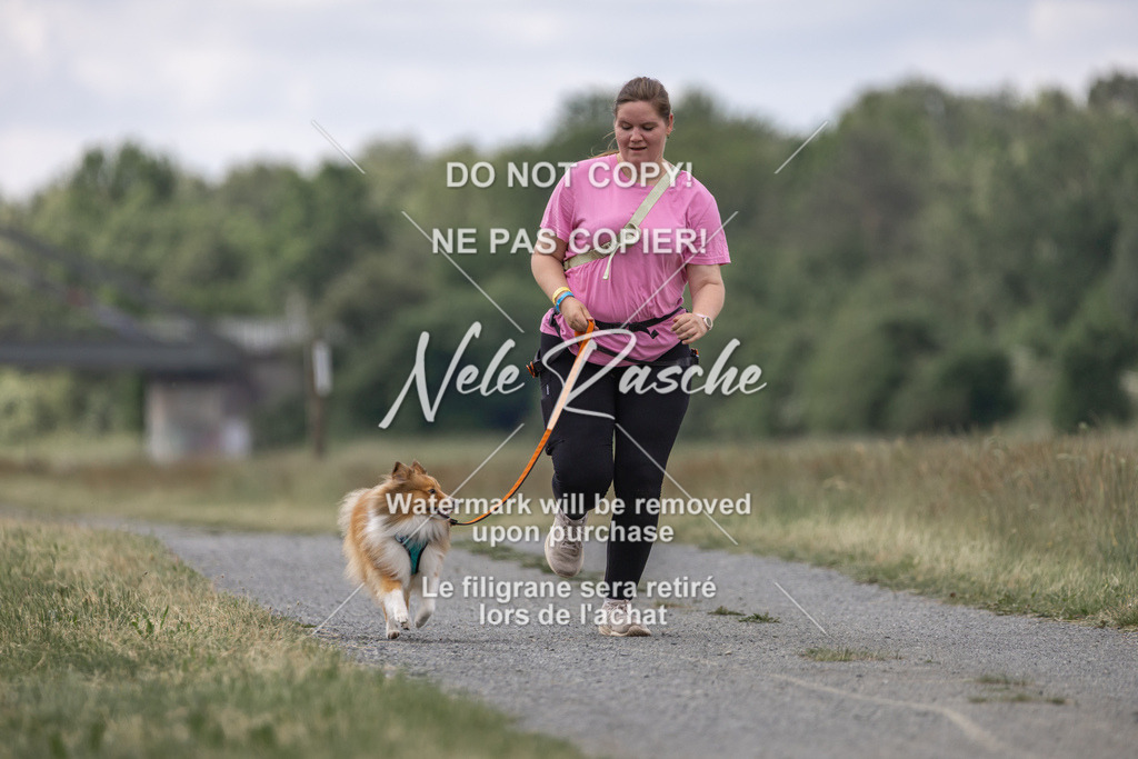 nelerasche_BuHu2026_SaCC1100-1200_110 | nelerasche