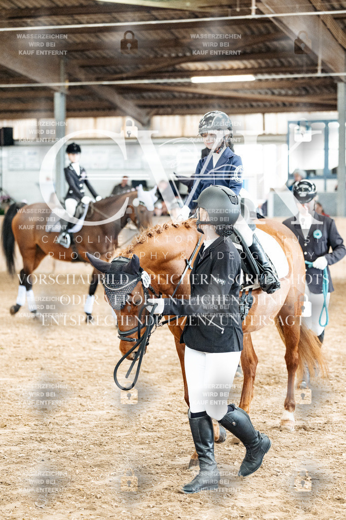 CK905948 | Turnierfotografie Pferdefotografie Trier Rheinland-Pfalz Pferdesport Reitsport Tierfotografie Sportfotografie Pferdevideo Pferdevideografie Equestrianvideography equestrianphotography  - Realisiert mit Pictrs.com