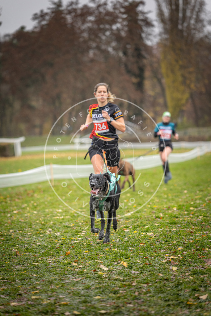 CaniXpix_DV3A9216 | Hundefotografie, Tierfotograf, Pfotenfotografie, Fotoshooting Hund, Hunde Portrait, Hundesport, Hundeportraits, Heideshooting, Hunde, Sportfotograf, Hundefotograf, Turnierhundsport, THS,  - Realisiert mit Pictrs.com