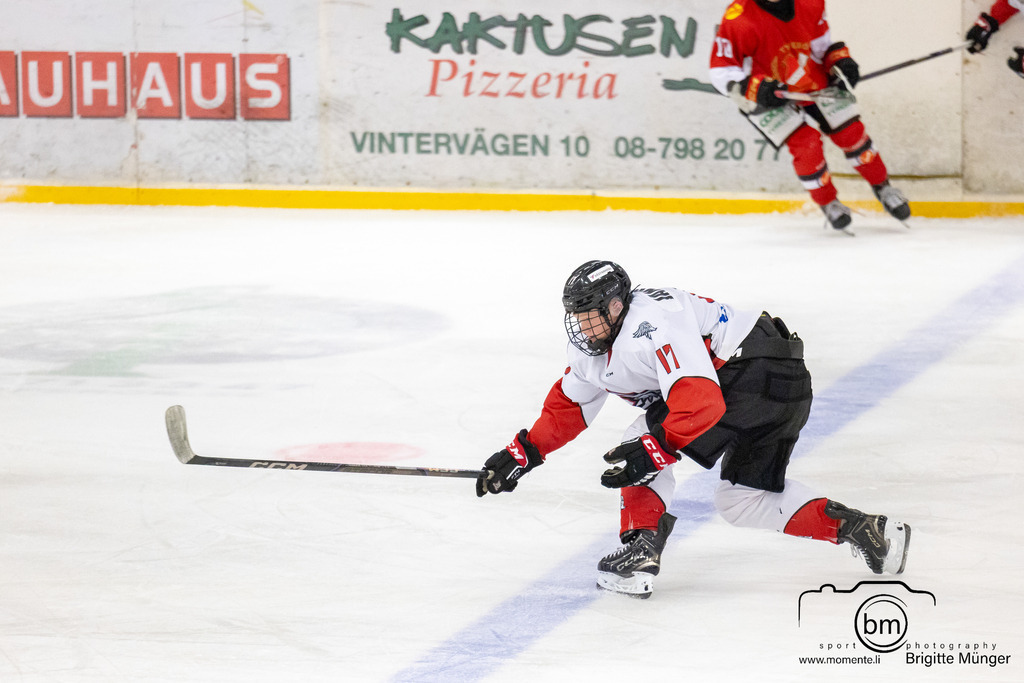 Tyresö Hanviken Hockey vs IFK Täby HC_570A0894 | Preseason U18 Regional Herr Östra - Realisiert mit Pictrs.com
