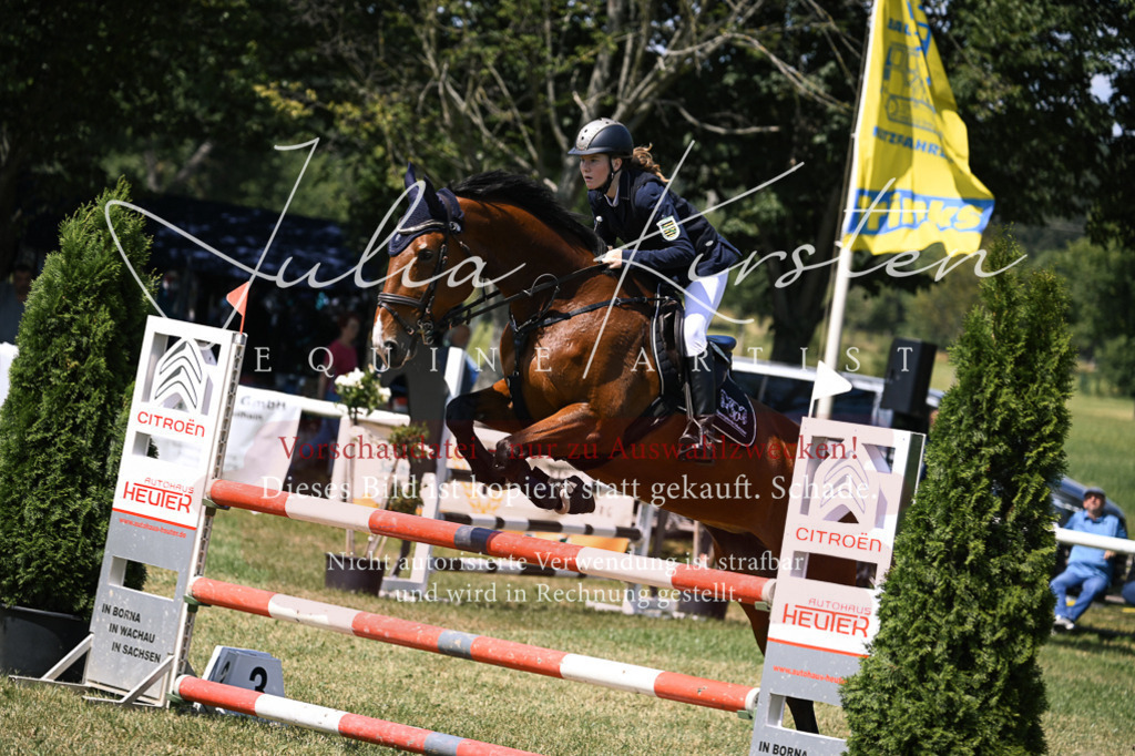 DSC_0136 | Pferde- und Turnierfotografie in Westsachsen. Pferdeportraits, Auftragszeichnungen und intuitive Kunst.