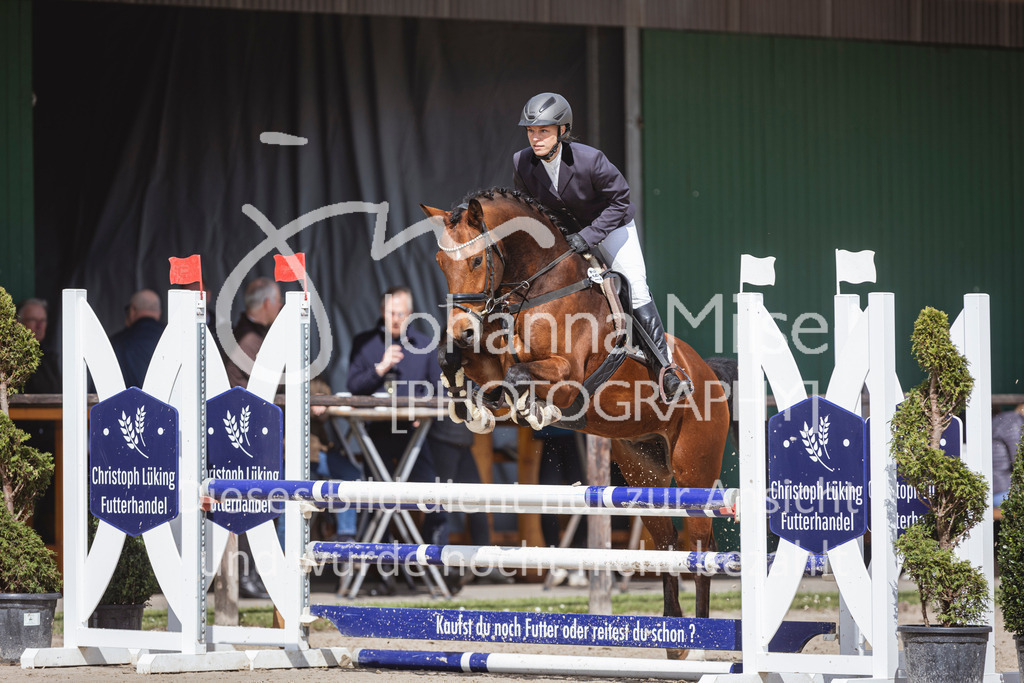 250419_Frühlingsfest_A-Stil1-485 | Deine schönsten Turniermomente als professionelle Fotos! Entdecke hochwertige Pferdesport-Fotografie im Online-Shop. Jetzt Fotos finden & bestellen!
