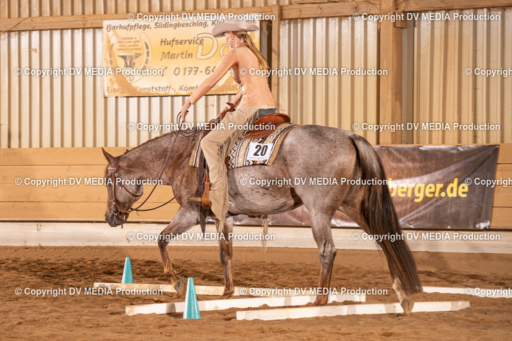 NID00825 | dv-media-shop - Realisiert mit Pictrs.com