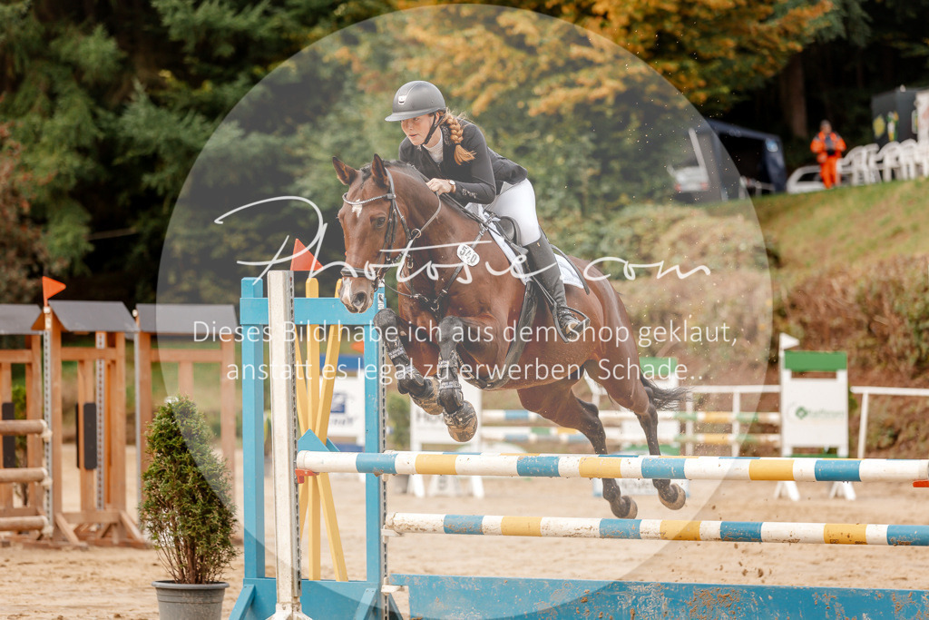 3I6A6683 | Stimmungsvolle Portraits und Reitsportfotografie im Ruhrgebiet und im Münsterland.

Pferdefotografie, Hundefotografie, Tierfotografie, Reportagen, Portraits von Tier und Mensch, Turnierfotografie in Bochum, Recklinghausen, Marl, Haltern am See, Dülmen.. - Realisiert mit Pictrs.com