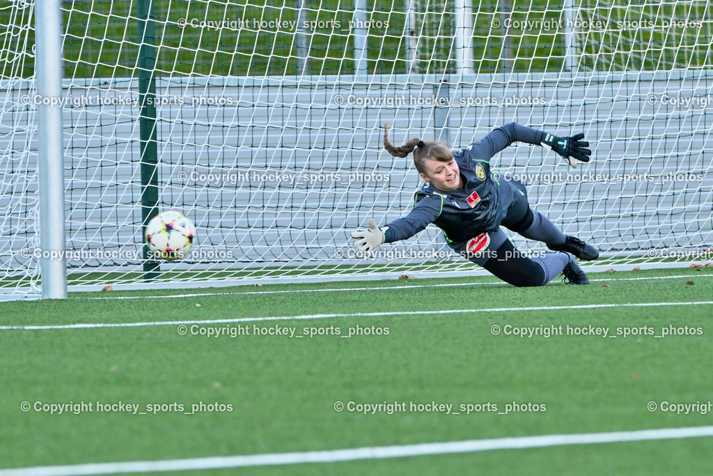 Liwodruck Carinthians Hornets vs. FK Austria Wien Frauen 19.11.2023 | #1 Anja Meier