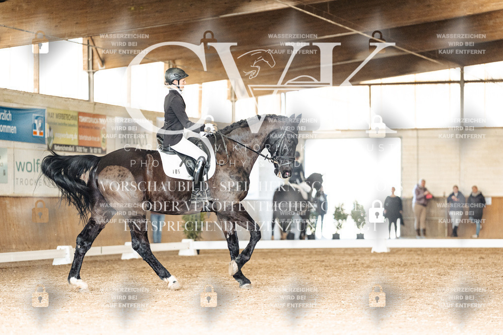 CK902154 | Turnierfotografie Pferdefotografie Trier Rheinland-Pfalz Pferdesport Reitsport Tierfotografie Sportfotografie Pferdevideo Pferdevideografie Equestrianvideography equestrianphotography  - Realisiert mit Pictrs.com
