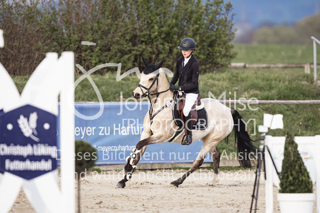 240327_Fruehlingsfest_Stil-L-1-328 | Deine schönsten Turniermomente als professionelle Fotos! Entdecke hochwertige Pferdesport-Fotografie im Online-Shop. Jetzt Fotos finden & bestellen!