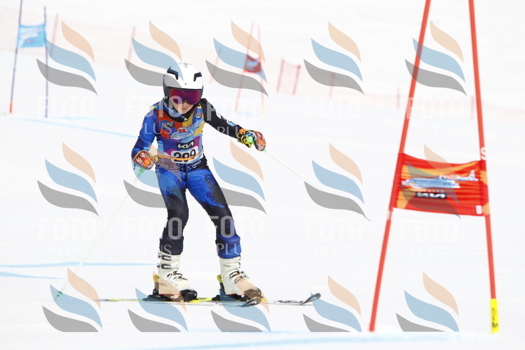 _U3G5396 | holidayphoto