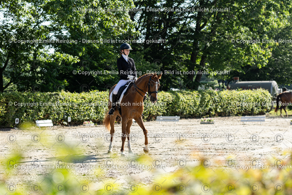 CL5A6899 | Emilia Reinking Fotografie - Realisiert mit Pictrs.com