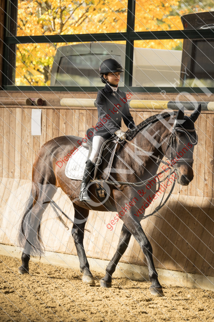 CON_6189 | Sport-, Event- und Tierfotos in Profiqualität. Einfach auswählen, bestellen und herunterladen. Dein Moment – perfekt festgehalten.