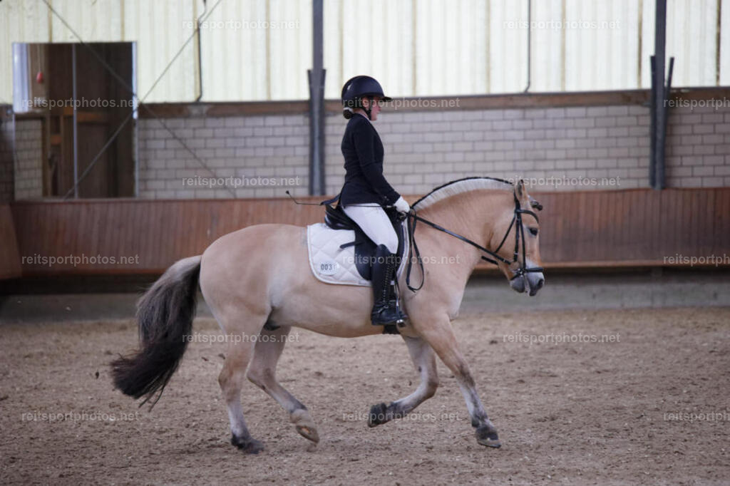 JHE_6582 | JoYa Fotografie - Realisiert mit Pictrs.com
