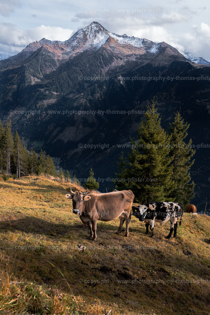Astegg Herbst  copyright  Thomas Pfister-1 | PHOTOGRAPHY BY THOMAS PFISTER