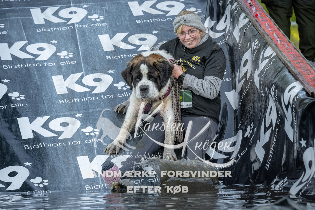 1600_ZZ91802 | kk-dogfotos