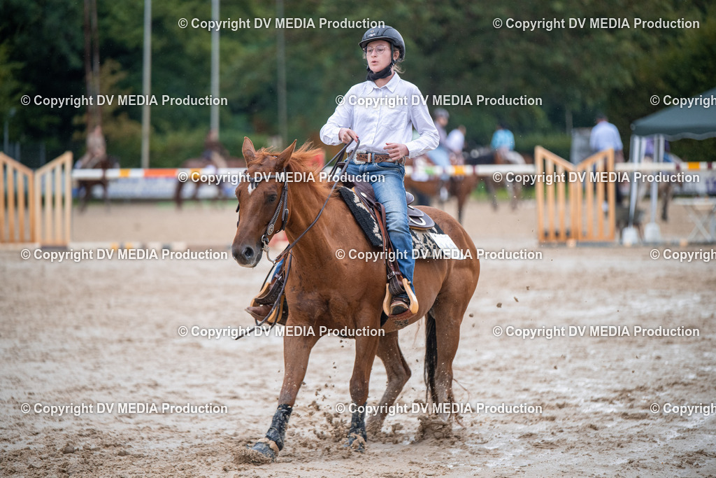 ZS2_4163 | dv-media-shop - Realisiert mit Pictrs.com