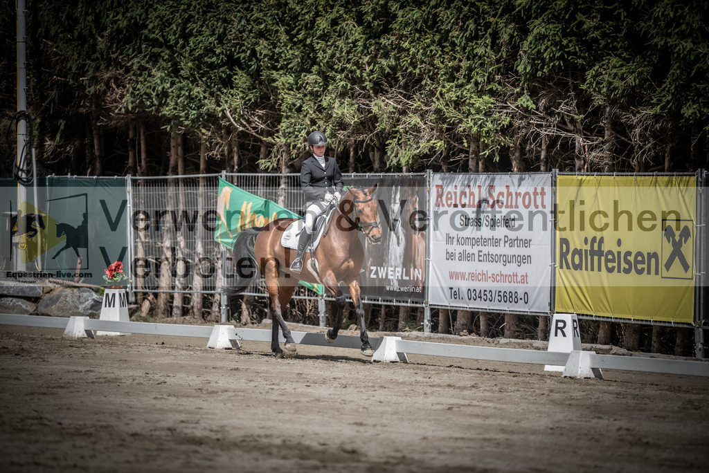 DSC_2420 | equestrian-live-com