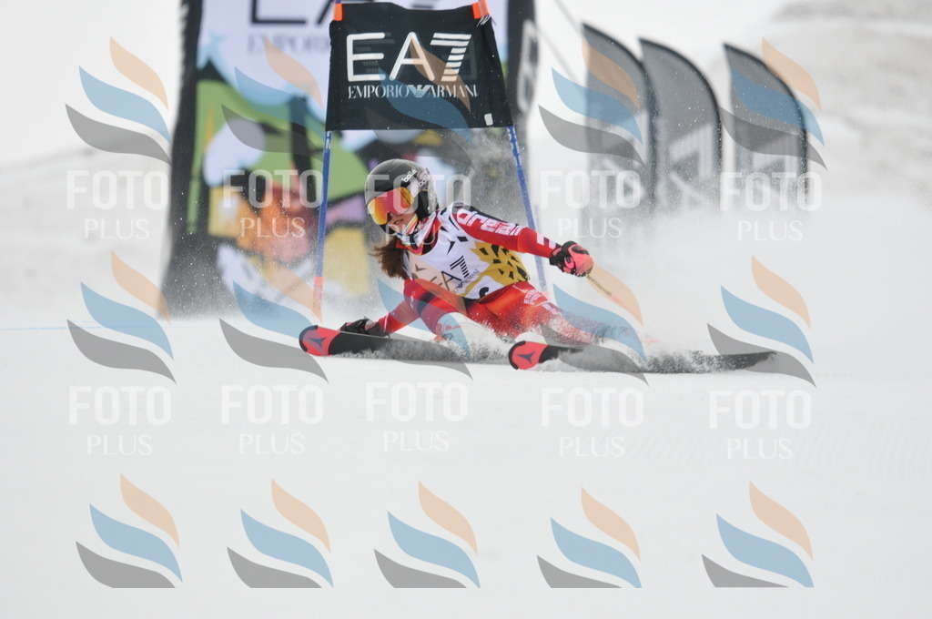 DSC_8254 | holidayphoto