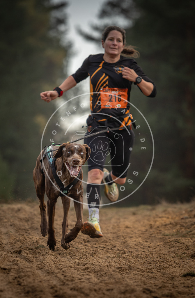 Pfotenfotografie_DV3A5322 | Hundefotografie, Tierfotograf, Pfotenfotografie, Fotoshooting Hund, Hunde Portrait, Hundesport, Hundeportraits, Heideshooting, Hunde, Sportfotograf, Hundefotograf, Turnierhundsport, THS,  - Realisiert mit Pictrs.com